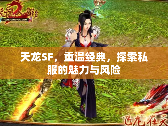 天龙SF，重温经典，探索私服的魅力与风险