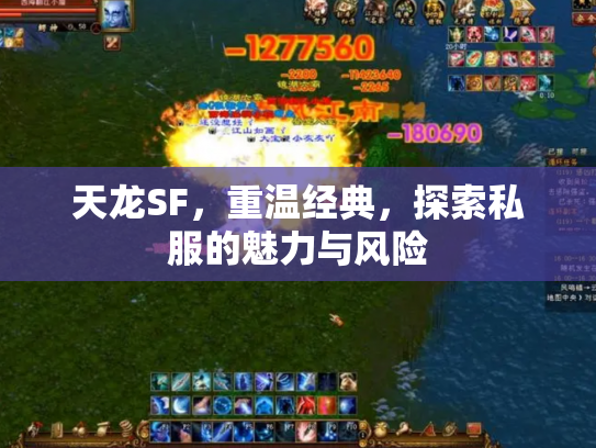 天龙SF，重温经典，探索私服的魅力与风险