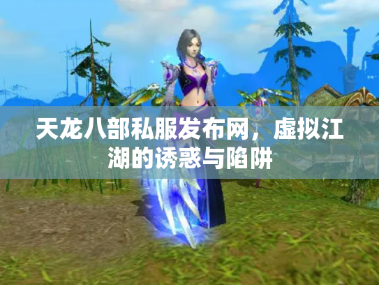天龙八部私服发布网，虚拟江湖的诱惑与陷阱