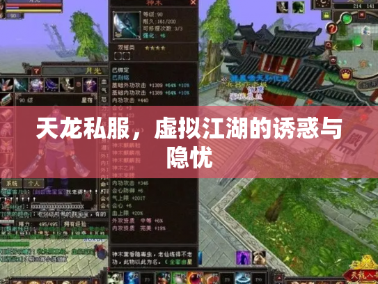 天龙私服，虚拟江湖的诱惑与隐忧