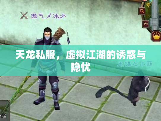 天龙私服，虚拟江湖的诱惑与隐忧