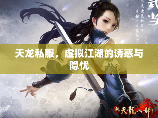 天龙私服，虚拟江湖的诱惑与隐忧