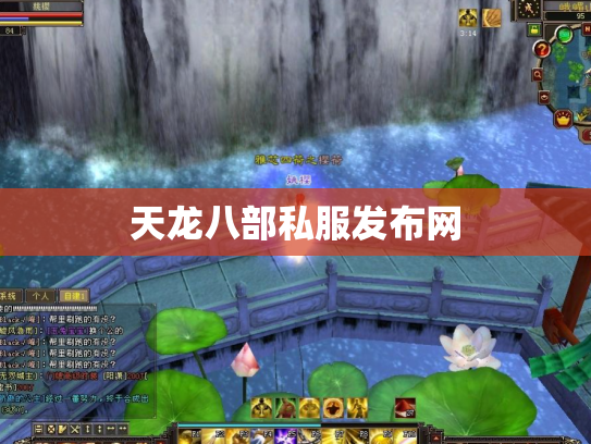 天龙八部私服发布网