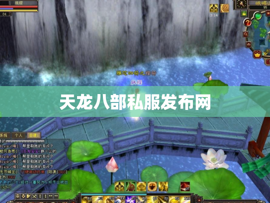 天龙八部私服发布网