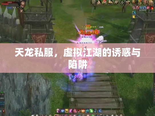 天龙私服，虚拟江湖的诱惑与陷阱