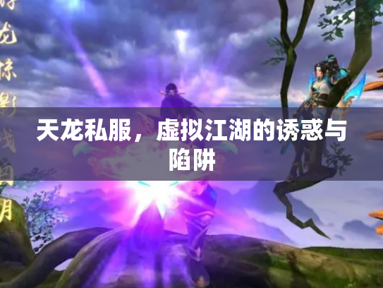 天龙私服，虚拟江湖的诱惑与陷阱
