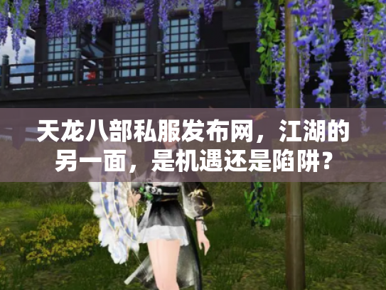 天龙八部私服发布网，江湖的另一面，是机遇还是陷阱？