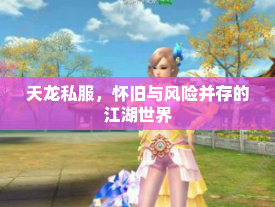 天龙私服，怀旧与风险并存的江湖世界