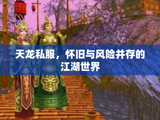天龙私服，怀旧与风险并存的江湖世界