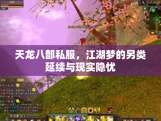 天龙八部私服，江湖梦的另类延续与现实隐忧