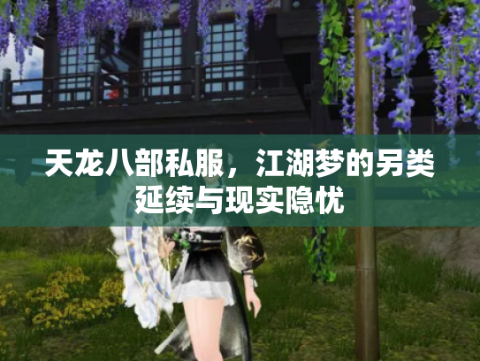 天龙八部私服，江湖梦的另类延续与现实隐忧