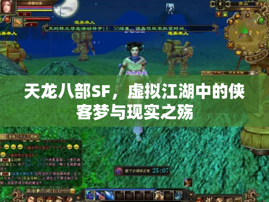 天龙八部SF，虚拟江湖中的侠客梦与现实之殇