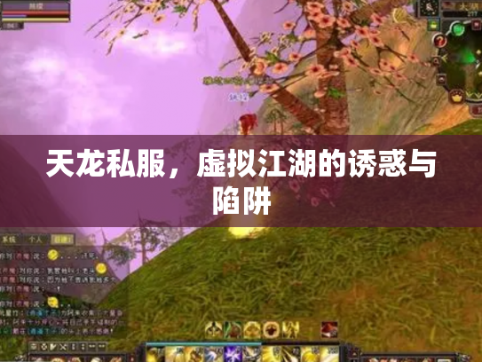 天龙私服，虚拟江湖的诱惑与陷阱