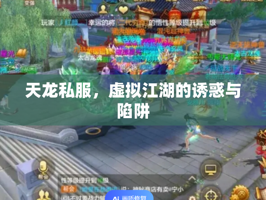 天龙私服，虚拟江湖的诱惑与陷阱