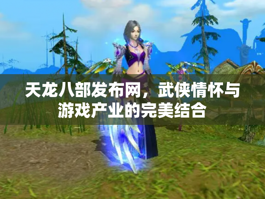 天龙八部发布网，武侠情怀与游戏产业的完美结合