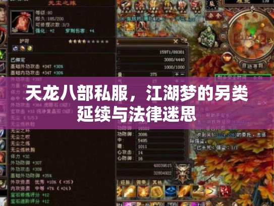 天龙八部私服，江湖梦的另类延续与法律迷思