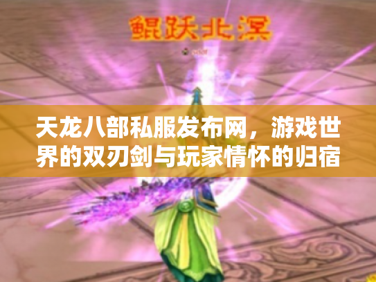 天龙八部私服发布网，游戏世界的双刃剑与玩家情怀的归宿