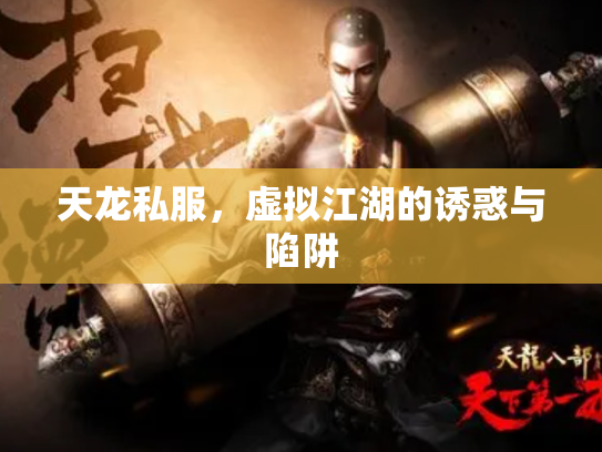 天龙私服，虚拟江湖的诱惑与陷阱
