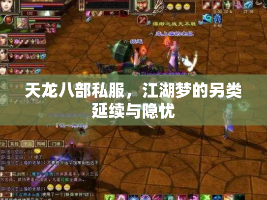 天龙八部私服，江湖梦的另类延续与隐忧