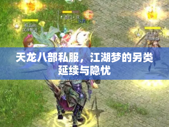 天龙八部私服，江湖梦的另类延续与隐忧