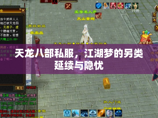 天龙八部私服，江湖梦的另类延续与隐忧