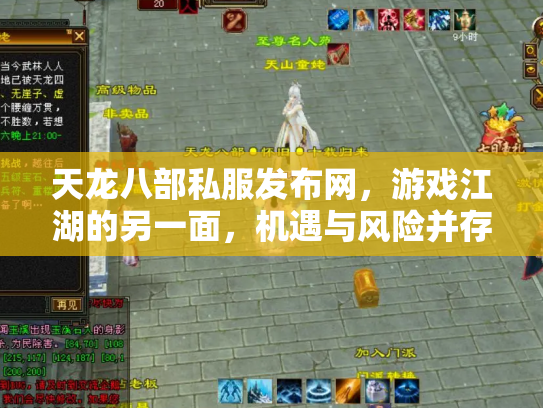 天龙八部私服发布网，游戏江湖的另一面，机遇与风险并存