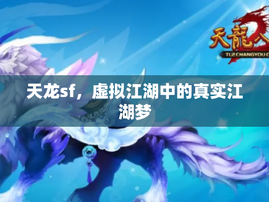 天龙sf，虚拟江湖中的真实江湖梦