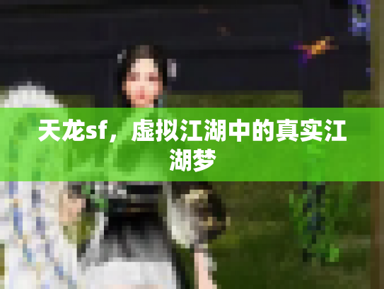天龙sf，虚拟江湖中的真实江湖梦