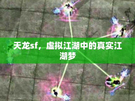 天龙sf，虚拟江湖中的真实江湖梦