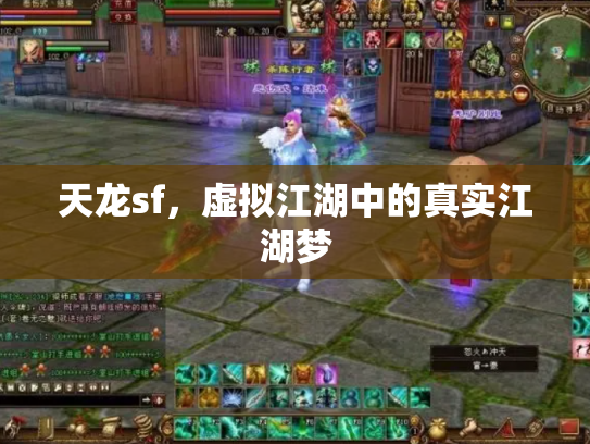 天龙sf，虚拟江湖中的真实江湖梦