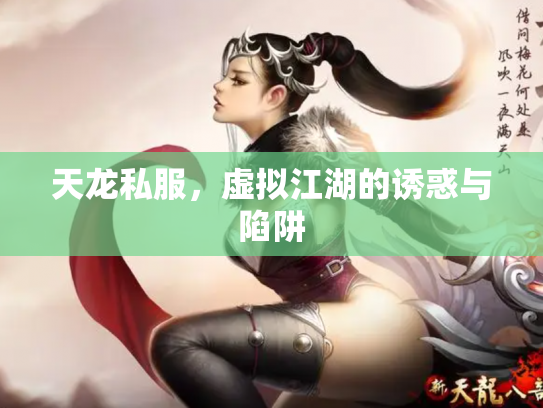 天龙私服，虚拟江湖的诱惑与陷阱