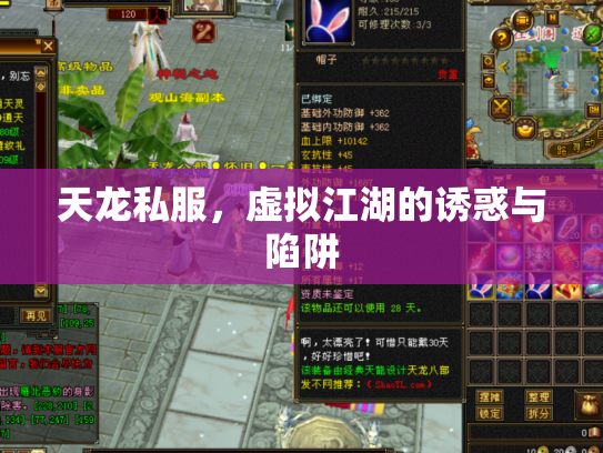 天龙私服，虚拟江湖的诱惑与陷阱
