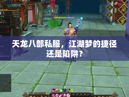 天龙八部私服，江湖梦的捷径还是陷阱？