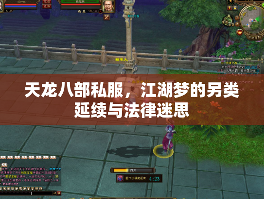 天龙八部私服，江湖梦的另类延续与法律迷思