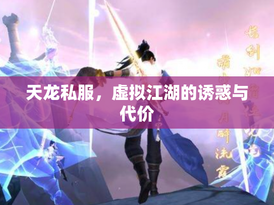 天龙私服，虚拟江湖的诱惑与代价