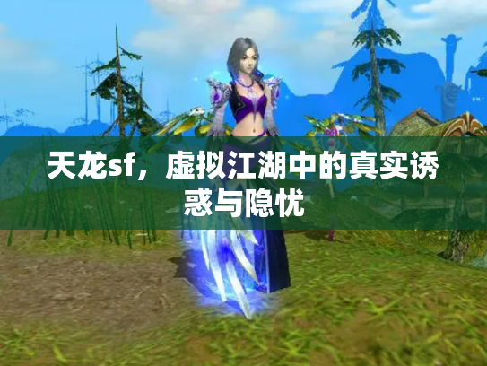 天龙sf，虚拟江湖中的真实诱惑与隐忧