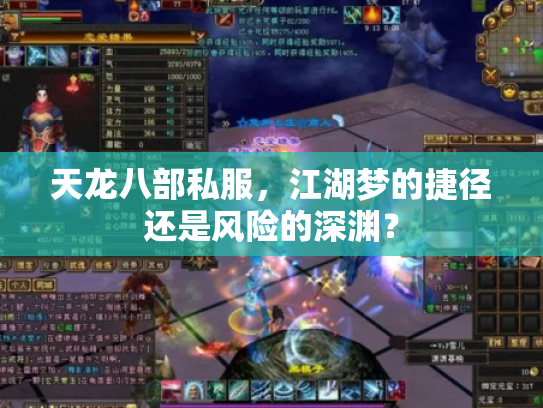 天龙八部私服，江湖梦的捷径还是风险的深渊？