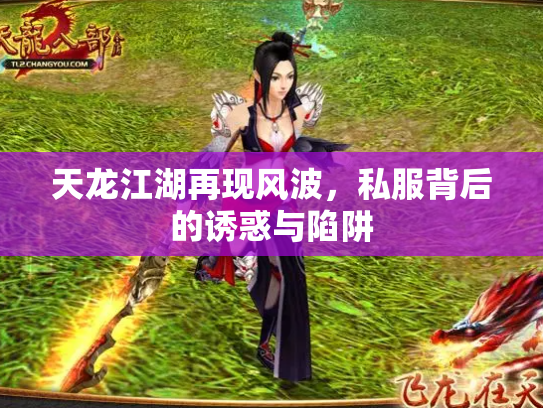 天龙江湖再现风波，私服背后的诱惑与陷阱