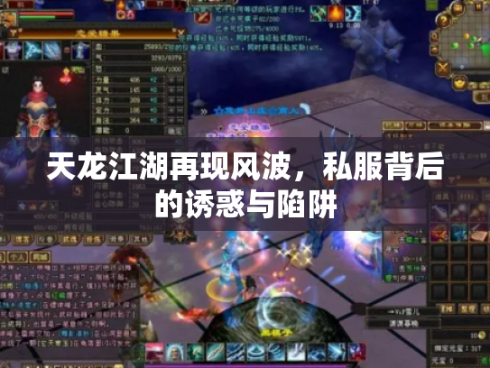 天龙江湖再现风波，私服背后的诱惑与陷阱