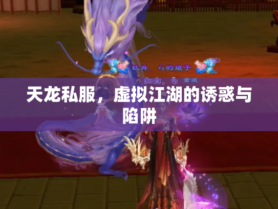 天龙私服，虚拟江湖的诱惑与陷阱