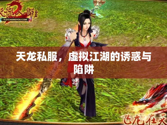 天龙私服，虚拟江湖的诱惑与陷阱