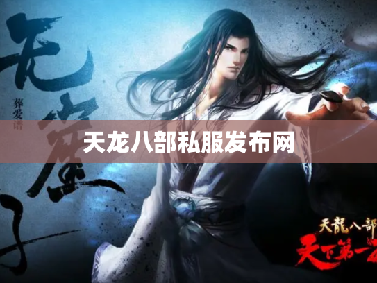 天龙八部私服发布网