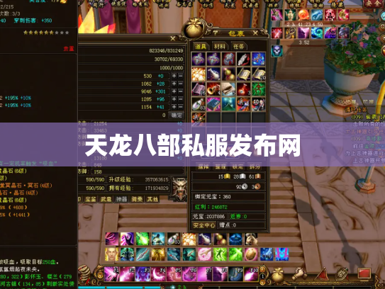 天龙八部私服发布网