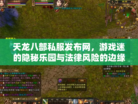 天龙八部私服发布网，游戏迷的隐秘乐园与法律风险的边缘