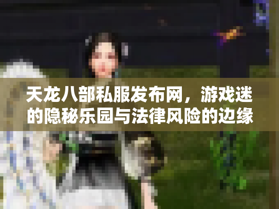 天龙八部私服发布网，游戏迷的隐秘乐园与法律风险的边缘