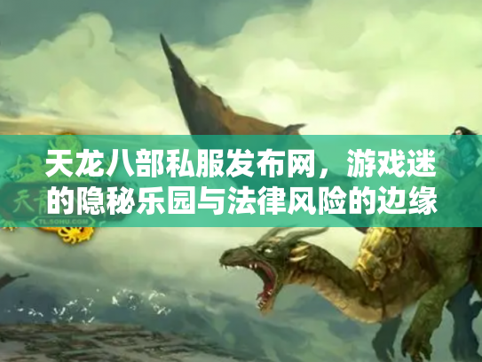 天龙八部私服发布网，游戏迷的隐秘乐园与法律风险的边缘