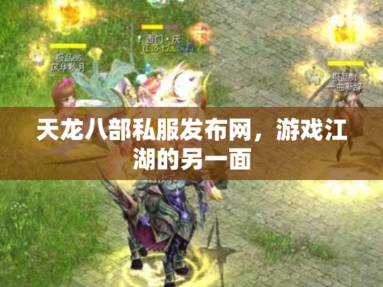 天龙八部私服发布网，游戏江湖的另一面