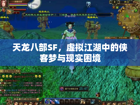 天龙八部SF，虚拟江湖中的侠客梦与现实困境