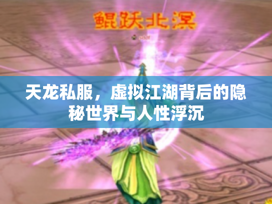天龙私服，虚拟江湖背后的隐秘世界与人性浮沉