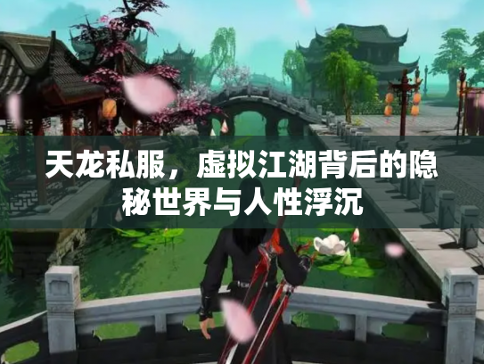 天龙私服，虚拟江湖背后的隐秘世界与人性浮沉